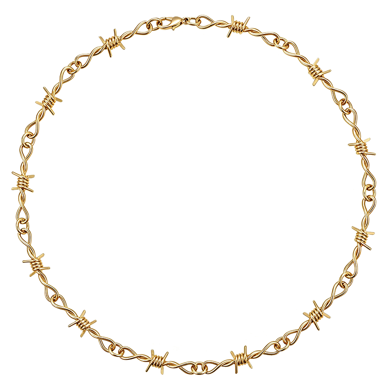 Unisex Titanium Steel Thorn Chain Necklace